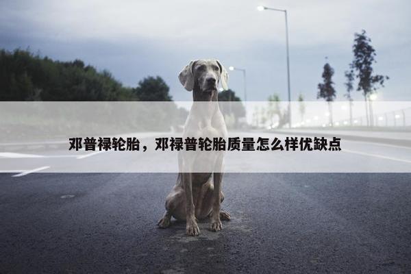 邓普禄轮胎，邓禄普轮胎质量怎么样优缺点