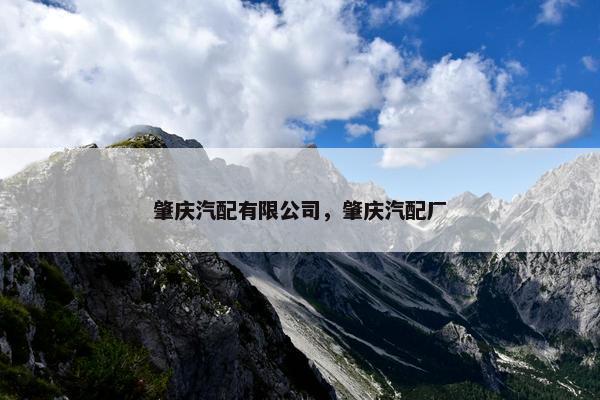 肇庆汽配有限公司，肇庆汽配厂