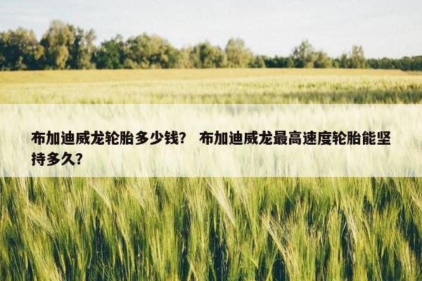 布加迪威龙轮胎多少钱？ 布加迪威龙最高速度轮胎能坚持多久？