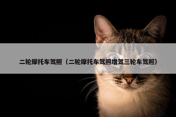 二轮摩托车驾照（二轮摩托车驾照增驾三轮车驾照）