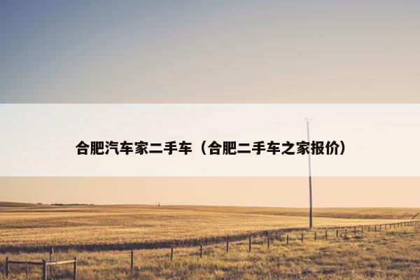 合肥汽车家二手车（合肥二手车之家报价）
