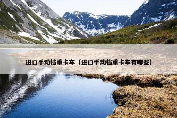 进口手动档重卡车（进口手动档重卡车有哪些）