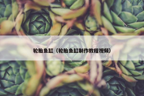 轮胎鱼缸（轮胎鱼缸制作教程视频）
