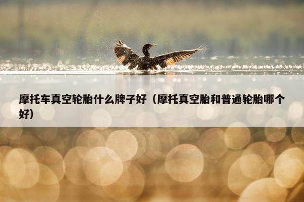 摩托车真空轮胎什么牌子好（摩托真空胎和普通轮胎哪个好）
