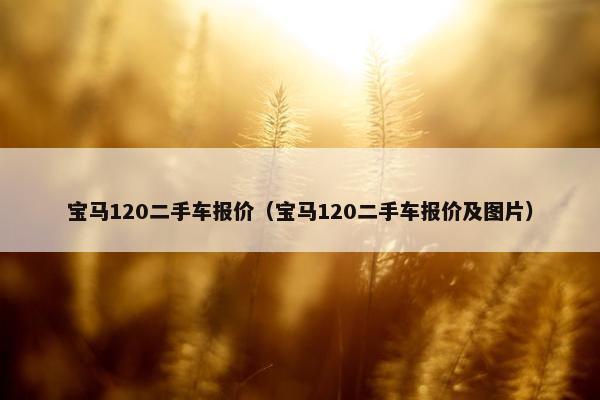 宝马120二手车报价（宝马120二手车报价及图片）