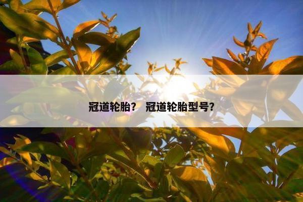 冠道轮胎？ 冠道轮胎型号？