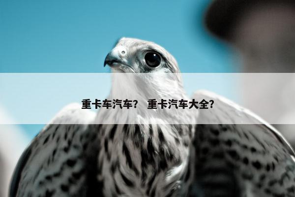 重卡车汽车？ 重卡汽车大全？