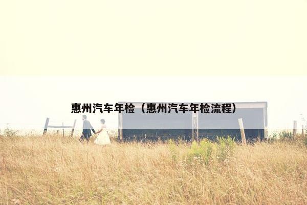 惠州汽车年检（惠州汽车年检流程）