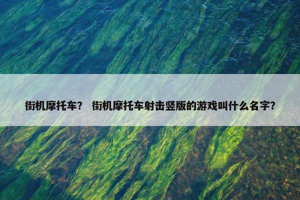 街机摩托车？ 街机摩托车射击竖版的游戏叫什么名字？
