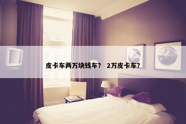 皮卡车两万块钱车？ 2万皮卡车？