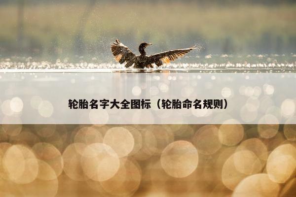 轮胎名字大全图标（轮胎命名规则）