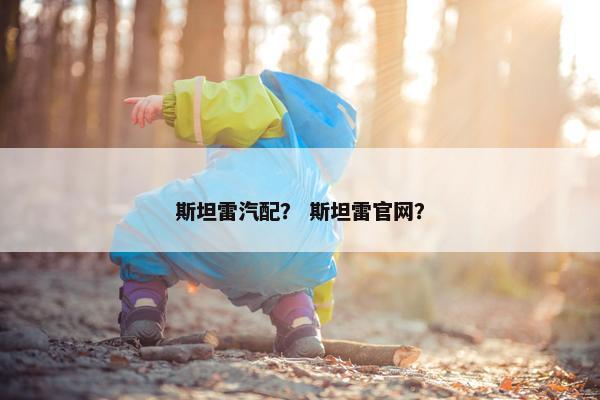 斯坦雷汽配？ 斯坦雷官网？