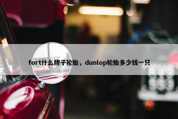 fort什么牌子轮胎，dunlop轮胎多少钱一只