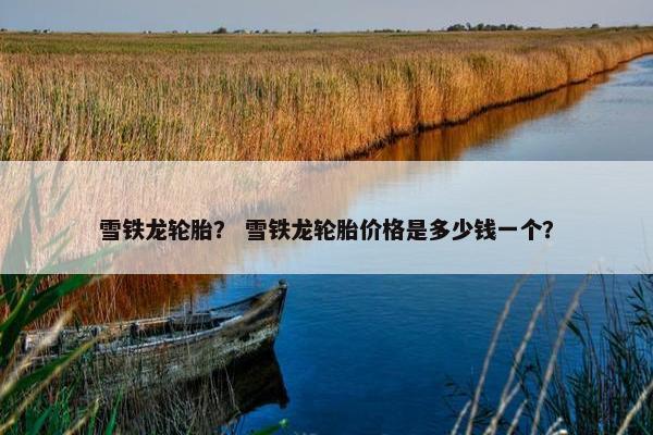 雪铁龙轮胎？ 雪铁龙轮胎价格是多少钱一个？