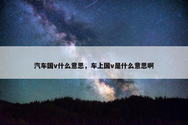 汽车国v什么意思，车上国v是什么意思啊