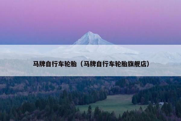 马牌自行车轮胎（马牌自行车轮胎旗舰店）
