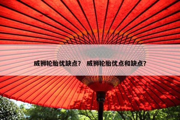 威狮轮胎优缺点？ 威狮轮胎优点和缺点？