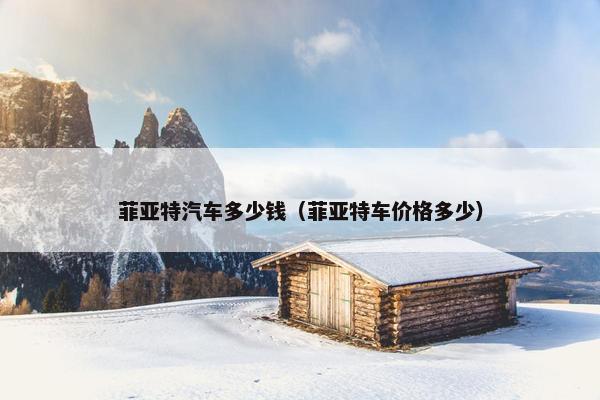 菲亚特汽车多少钱（菲亚特车价格多少）