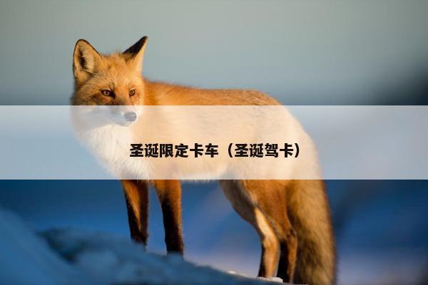 圣诞限定卡车（圣诞驾卡）