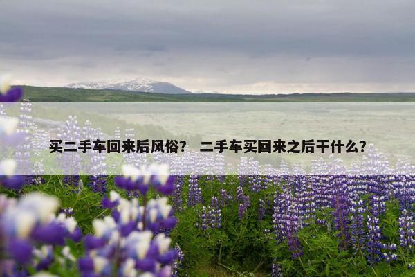 买二手车回来后风俗？ 二手车买回来之后干什么？