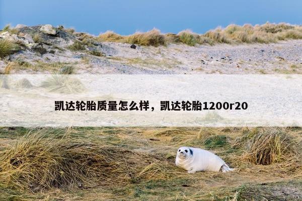 凯达轮胎质量怎么样，凯达轮胎1200r20