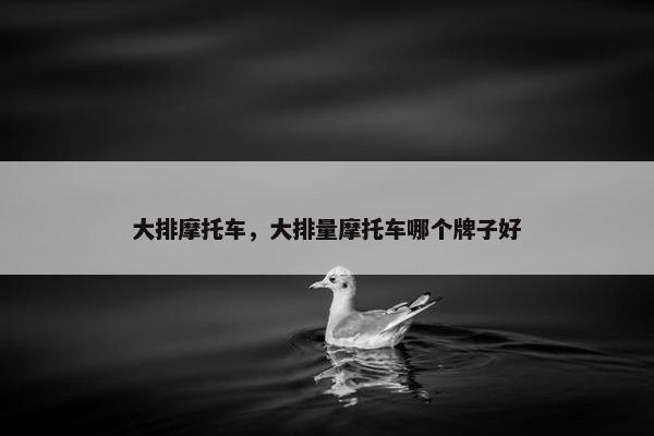 大排摩托车，大排量摩托车哪个牌子好