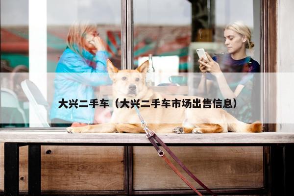 大兴二手车（大兴二手车市场出售信息）