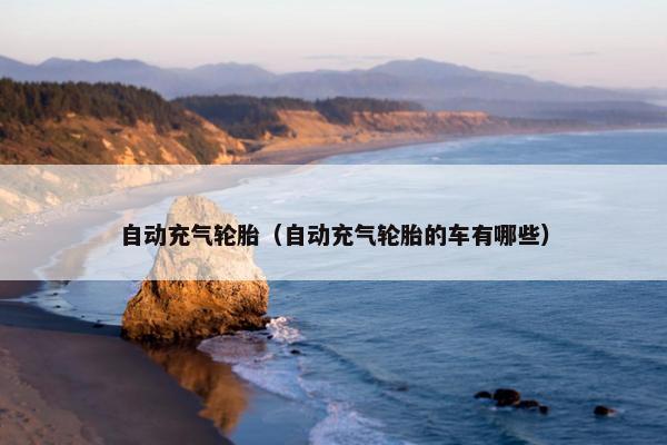自动充气轮胎（自动充气轮胎的车有哪些）