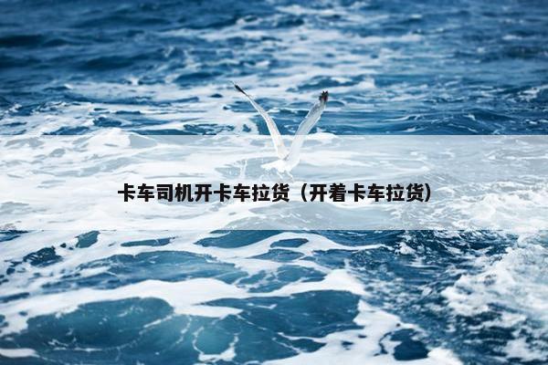 卡车司机开卡车拉货（开着卡车拉货）