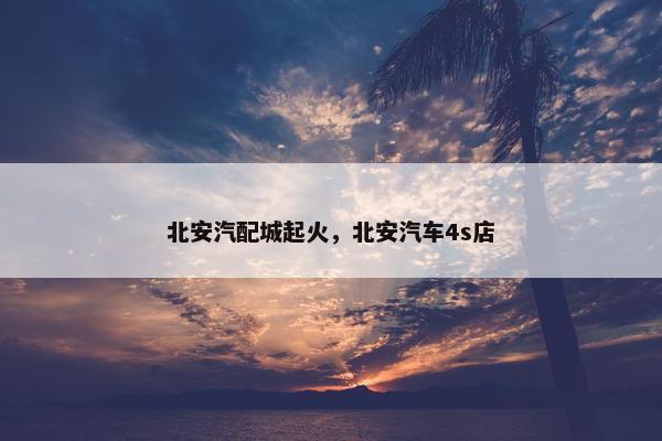 北安汽配城起火，北安汽车4s店
