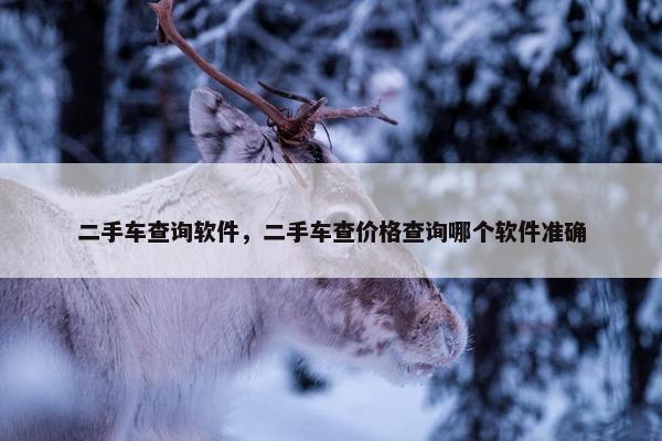 二手车查询软件，二手车查价格查询哪个软件准确