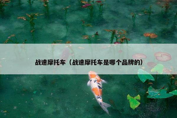 战速摩托车（战速摩托车是哪个品牌的）