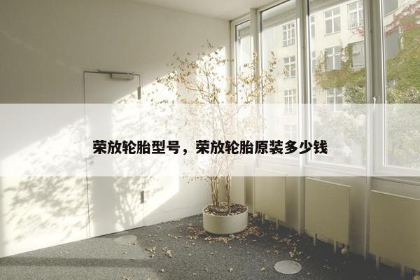 荣放轮胎型号，荣放轮胎原装多少钱