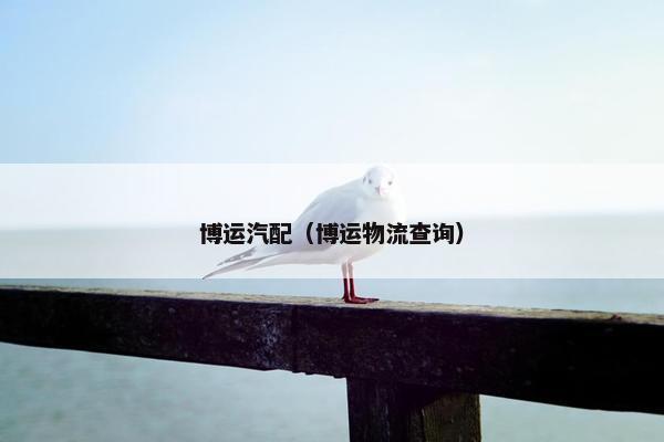 博运汽配（博运物流查询）