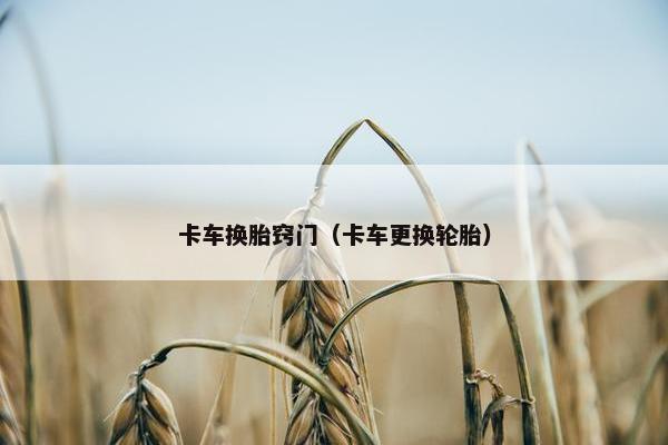 卡车换胎窍门（卡车更换轮胎）