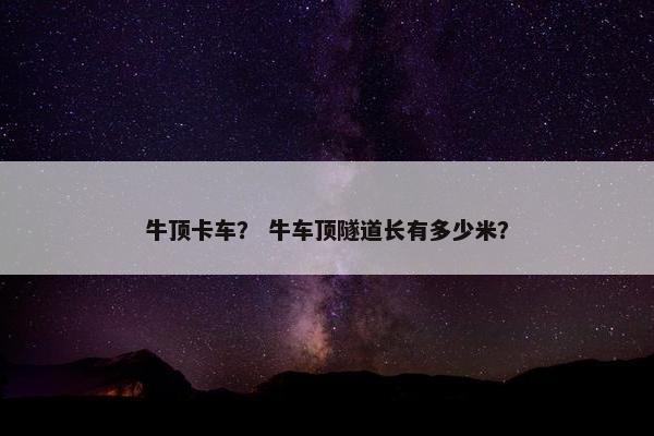 牛顶卡车？ 牛车顶隧道长有多少米？