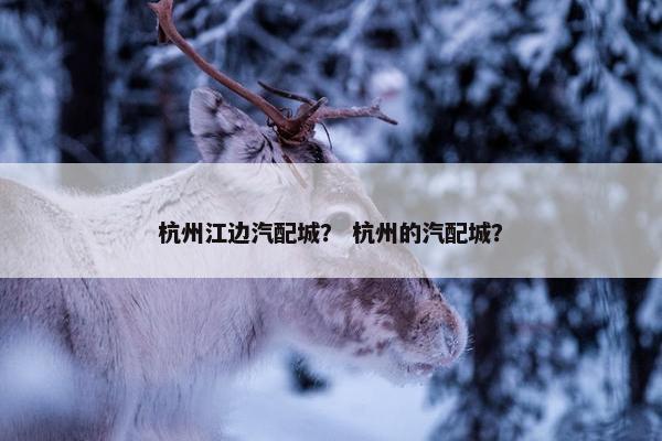 杭州江边汽配城？ 杭州的汽配城？