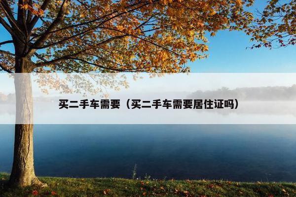 买二手车需要（买二手车需要居住证吗）
