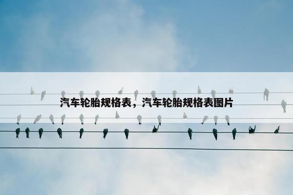 汽车轮胎规格表，汽车轮胎规格表图片