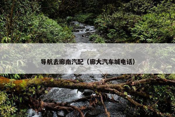 导航去廊南汽配（廊大汽车城电话）