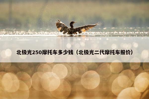 北极光250摩托车多少钱（北极光二代摩托车报价）