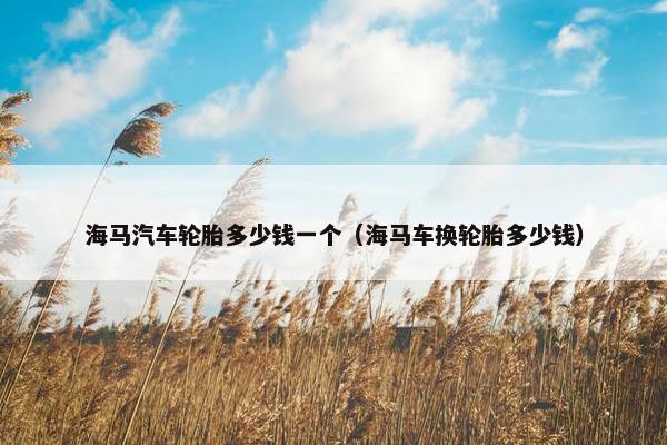 海马汽车轮胎多少钱一个（海马车换轮胎多少钱）