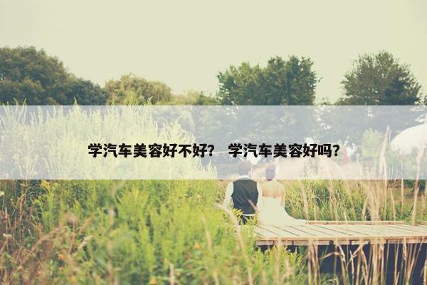 学汽车美容好不好？ 学汽车美容好吗？