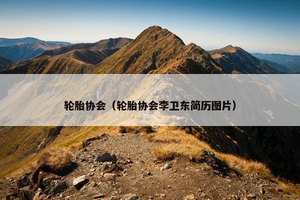 轮胎协会（轮胎协会李卫东简历图片）