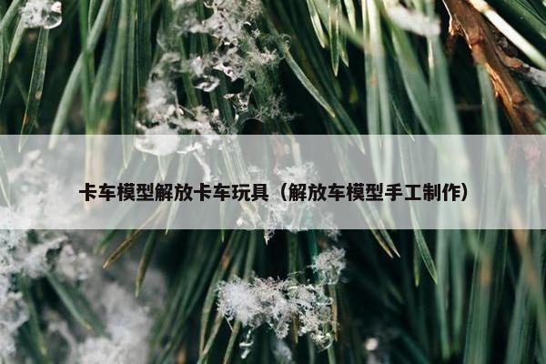 卡车模型解放卡车玩具（解放车模型手工制作）