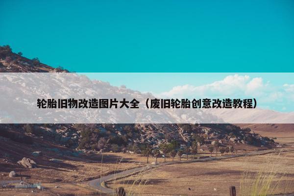 轮胎旧物改造图片大全（废旧轮胎创意改造教程）