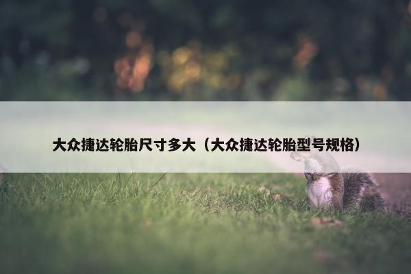 大众捷达轮胎尺寸多大（大众捷达轮胎型号规格）