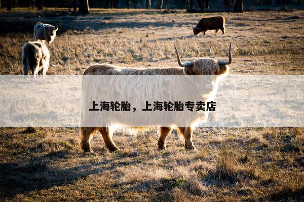 上海轮胎，上海轮胎专卖店
