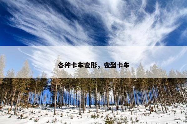 各种卡车变形，变型卡车