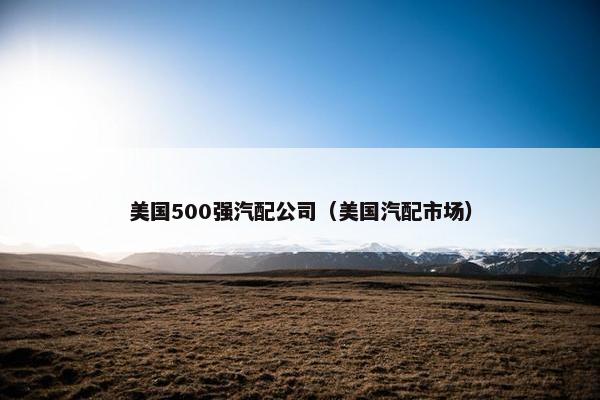 美国500强汽配公司（美国汽配市场）